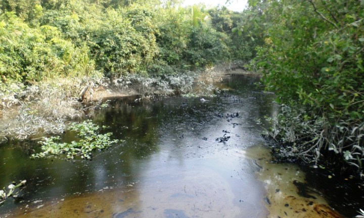 The thick layer of oil stagnant in the canals.